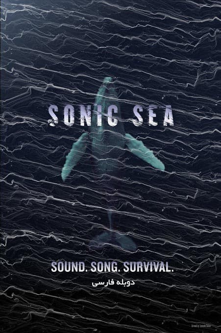 دانلود مستند دریای اصوات &#8211; Sonic Sea 2016 دوبله فارسی
