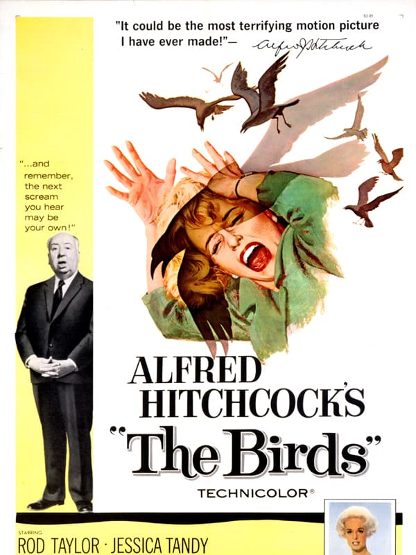 پرندگان | The Birds 1963