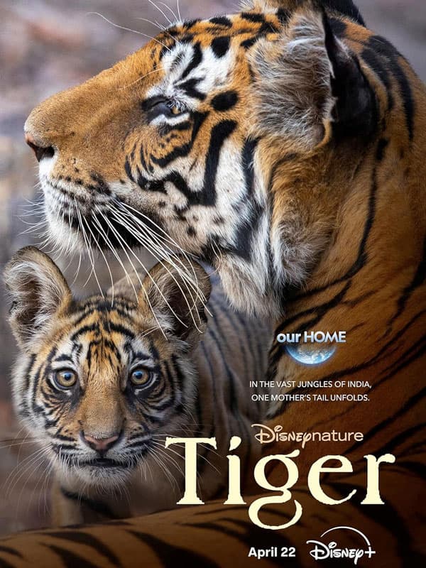 Tiger 2024
