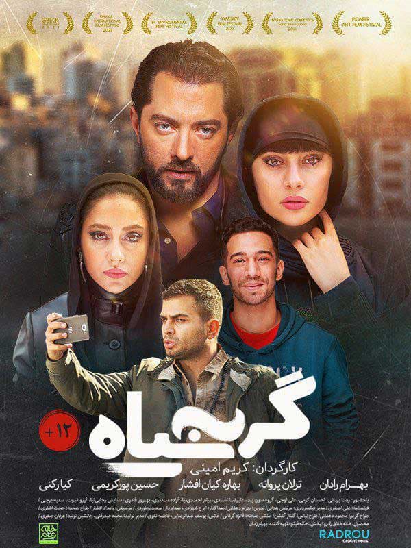 گربه سیاه ۱۳۹۸ - به زودی