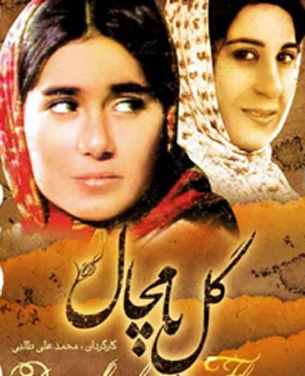 گل پامچال ۱۳۷۰