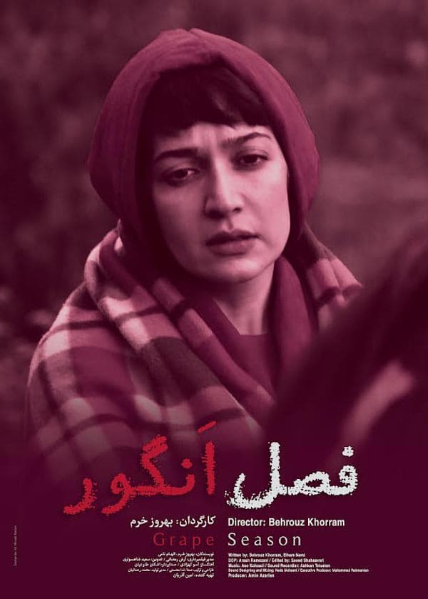 فصل انگور ۱۴۰۰