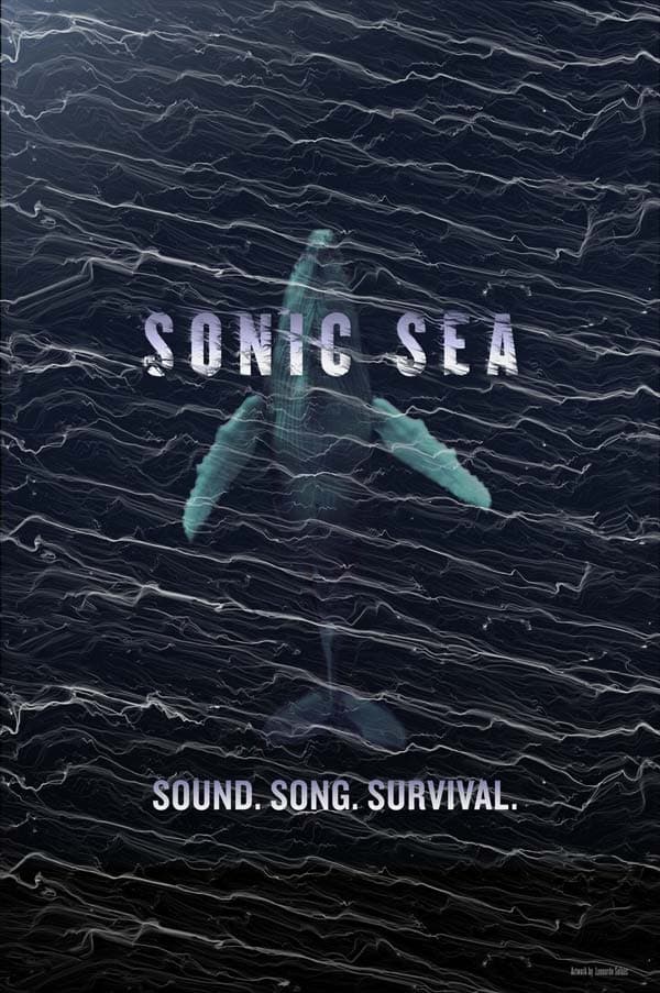 Sonic Sea 2016