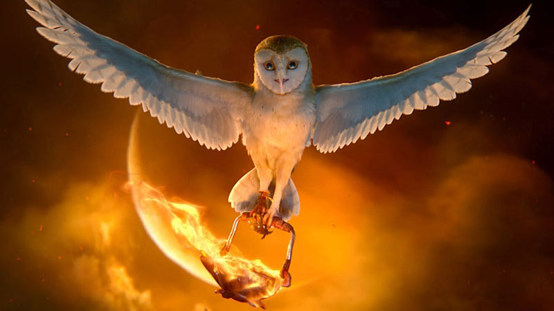 دانلود انیمیشن افسانه محافظان: جغدهای گاهول Legend of the Guardians: The Owls of Ga'Hoole 2010