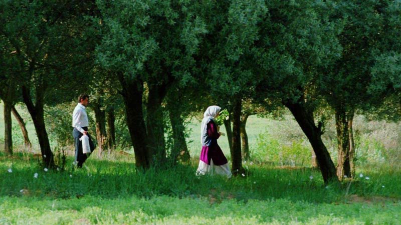 فیلم زیر درختان زیتون