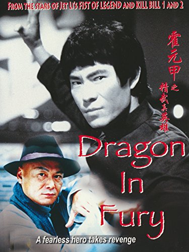دانلود فیلم اژدهای مبارز Dragon in Fury 2004 دوبله فارسی کیفیت عالی