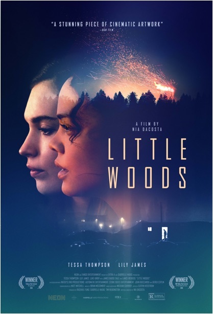 عکس فیلم جنگل کوچک Little Woods 2018 دوبله فارسی