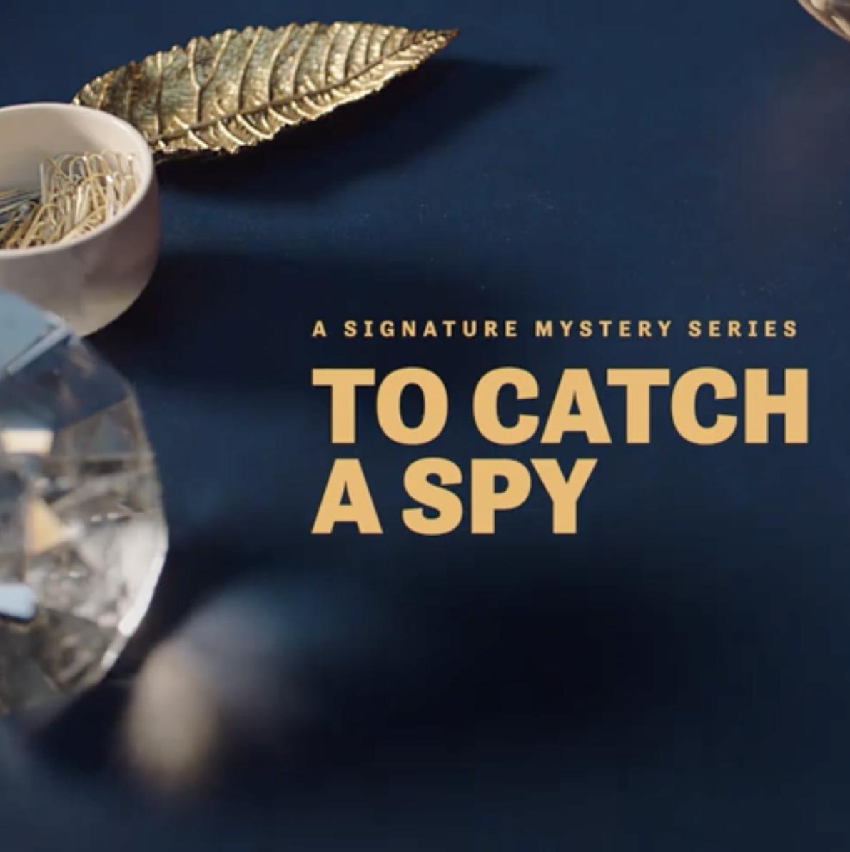 عکس فیلم گرفتن جاسوس To Catch a Spy 2021 HD با زیرنویس فارسی