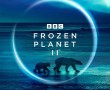 Frozen Planet II پوستر
