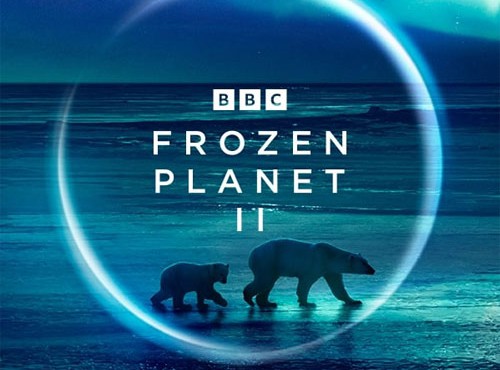 Frozen Planet II پوستر