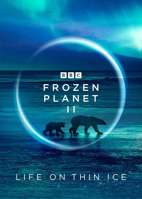 دانلود مستند سیاره یخ‌ زده 2 Frozen Planet II 2022