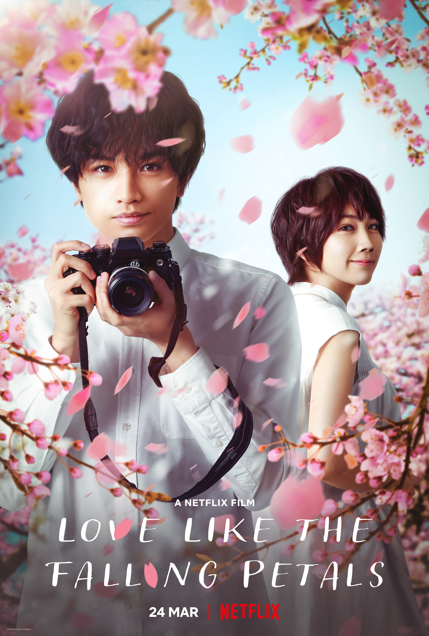 عکس فیلم عشقی مانند سقوط گلبرگ ها Love Like the Falling Petals 2022