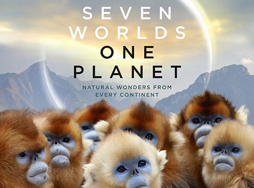 پوستر Seven Worlds One Planet