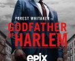 Godfather of Harlem poster