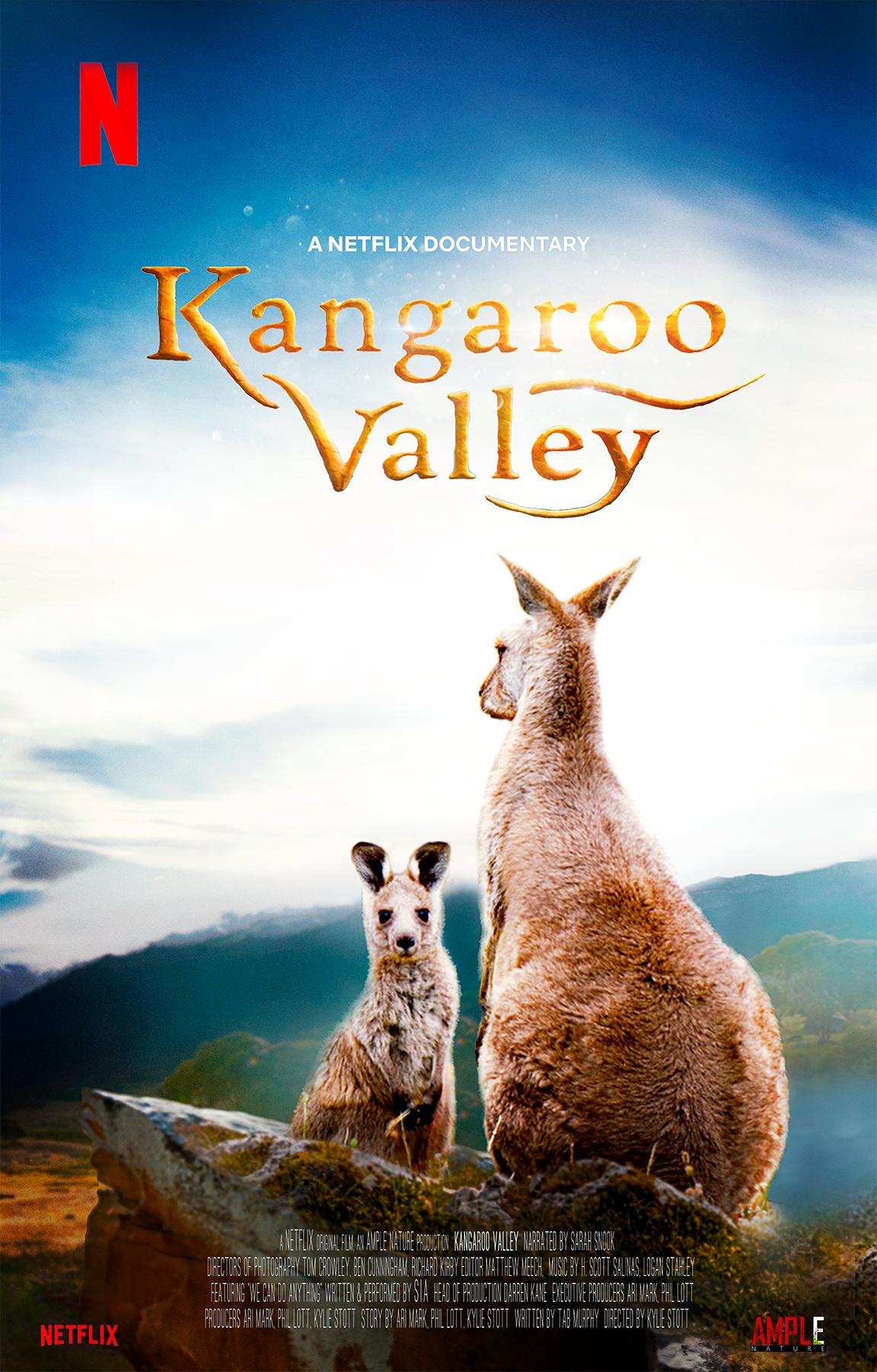 کاور فیلم Kangaroo Valley 2022