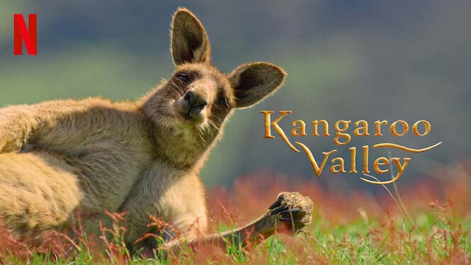 عکس فیلم مستند دره کانگورو Kangaroo Valley 2022