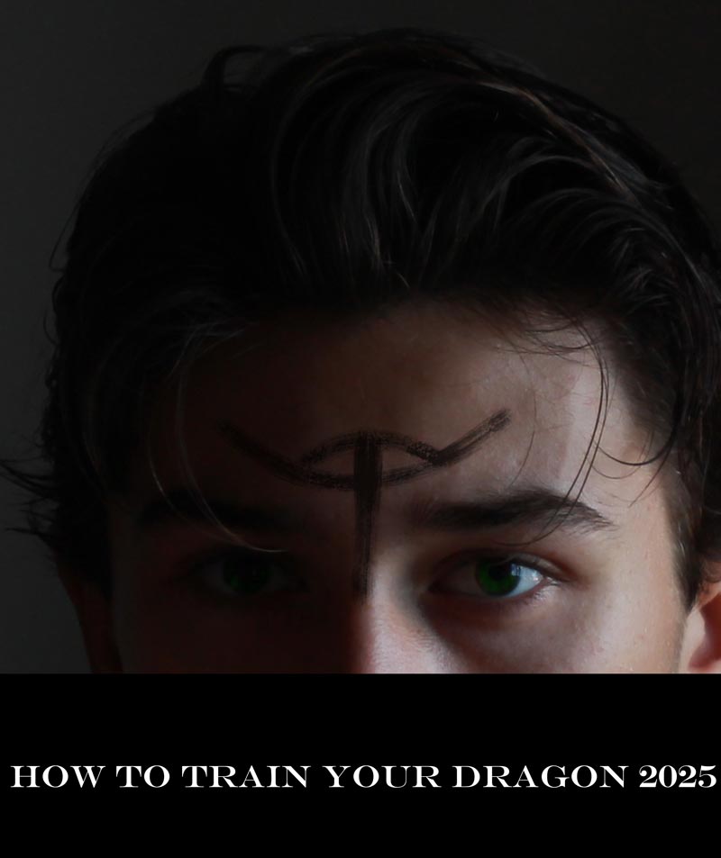 انیمیشن چگونه اژدهای خود را تربیت کنیم 4 How to Train Your Dragon 2025
