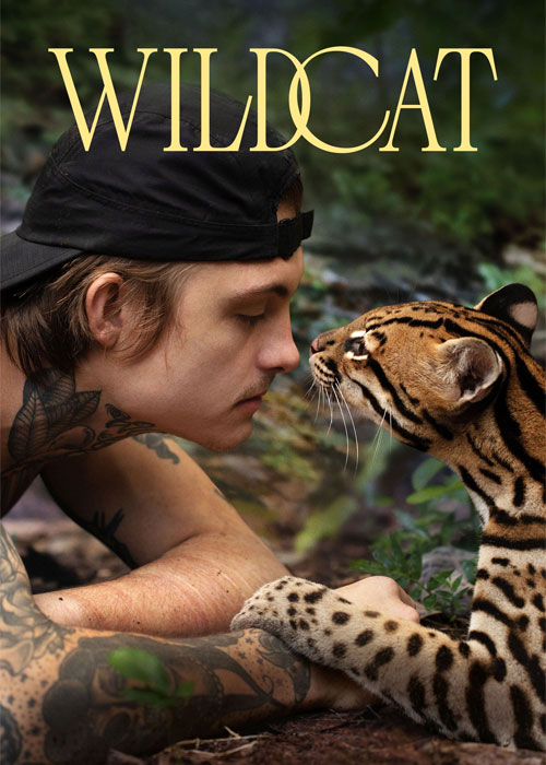 کاور فیلم Wildcat 2022