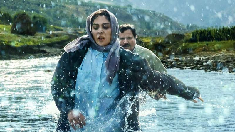 فیلم ایرانی در آغوش درخت 1401