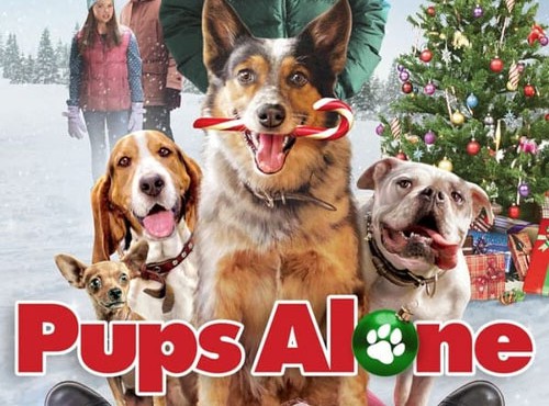 کاور فیلم Pups Alone 2021