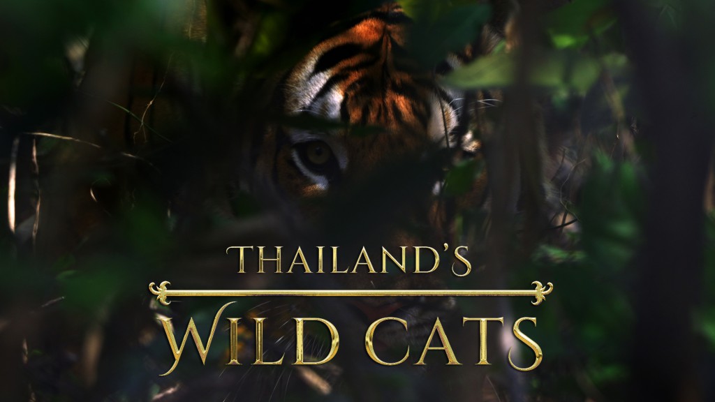 بنر فیلم Thailand’s Wild Cats 2021