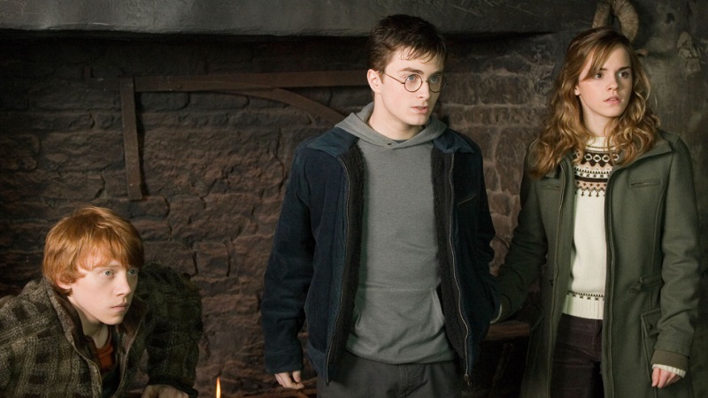 Harry Potter and the Order of the Phoenix 2007 banner