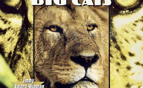 دانلود مستند یک هفته با گربه سانان Chasing Big Cats 2004