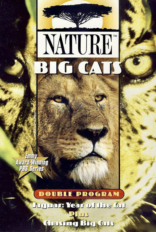 مستند یک هفته با گربه سانان Chasing Big Cats 2004