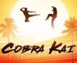 سریال کبرا کای Cobra Kai 2018-2023