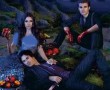 سریال خاطرات خون آشام The Vampire Diaries 2009–2017