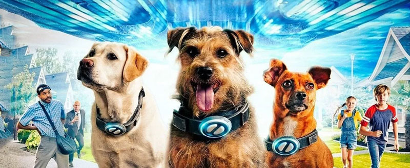 بنر فیلم Space-Pups-2023