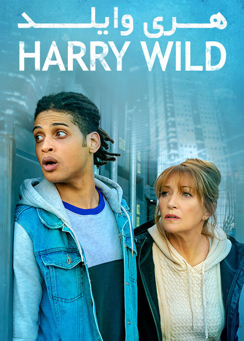 سریال هری وایلد Harry Wild 2022