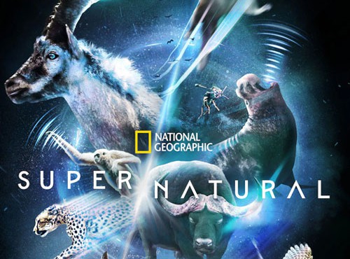 کاور فیلم Super Natural 2022