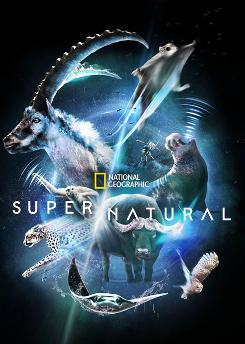 کاور فیلم Super Natural 2022