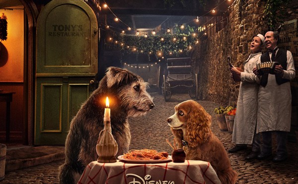 فیلم لیدی و ترمپ Lady and the Tramp 2019