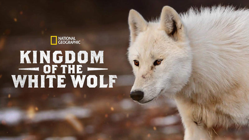 مستند قلمروی گرگ سفید Kingdom of the White Wolf 2019