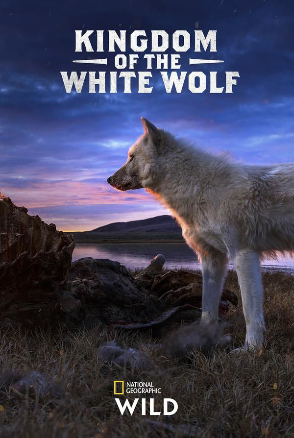 مستند قلمروی گرگ سفید Kingdom of the White Wolf 2019