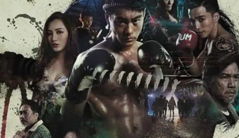 فیلم کوان دائو: سفر یک بکسور Quan Dao: The Journey of a Boxer 2020