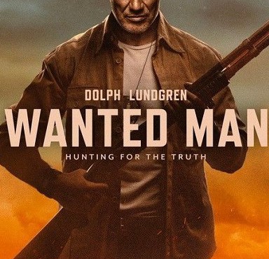 فیلم مرد تحت تعقیب Wanted Man 2024