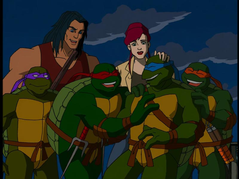 بنر انیمیشن لاکپشت‌ های نینجا ۲۰۰۳