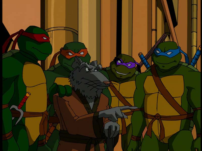 بنر انیمیشن لاکپشت‌ های نینجا ۲۰۰۳