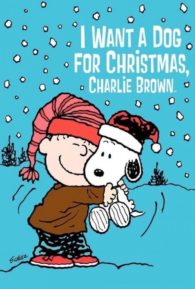 انیمیشن من یک سگ برای کریسمس می خوام چارلی براون I Want a Dog for Christmas Charlie Brown 2003