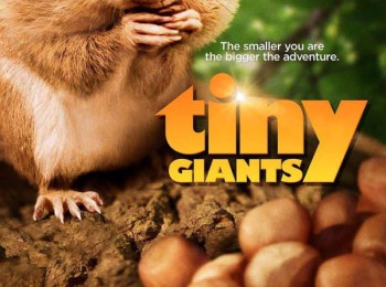 Tiny Giants 2014