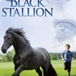 The New Adventures of the Black Stallion 1990-1993