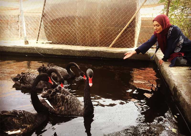 بنر سریال مرز خوشبختی