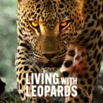 Living with Leopards 2024